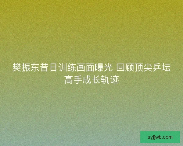 樊振东昔日训练画面曝光 回顾顶尖乒坛高手成长轨迹