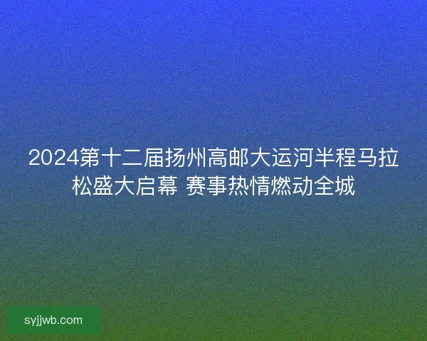 2024第十二届扬州高邮大运河半程马拉松盛大启幕 赛事热情燃动全城